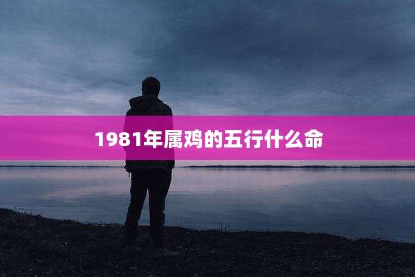 1981年属鸡的五行什么命
