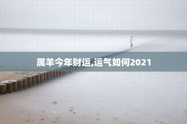 属羊今年财运,运气如何2021