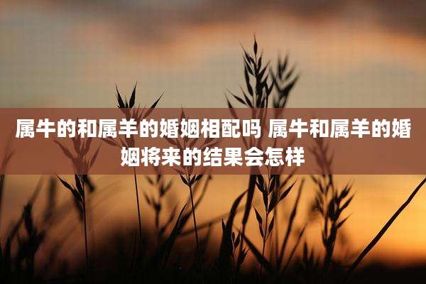 属牛的和属羊的婚姻相配吗 属牛和属羊的婚姻将来的结果会怎样