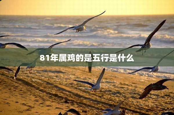81年属鸡的是五行是什么