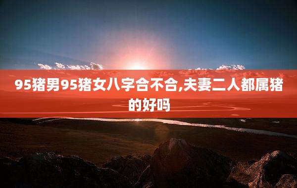 95猪男95猪女八字合不合,夫妻二人都属猪的好吗