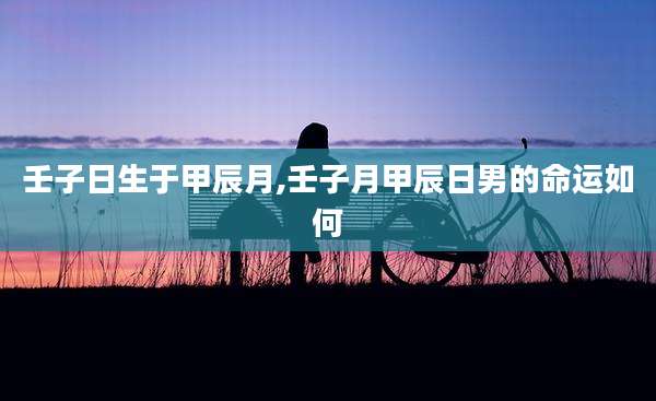 壬子日生于甲辰月,壬子月甲辰日男的命运如何