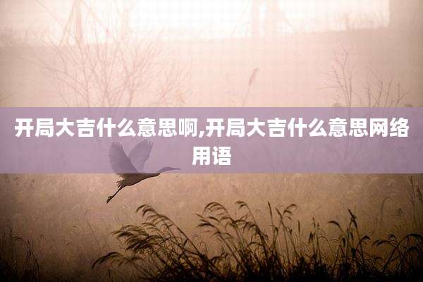 开局大吉什么意思啊,开局大吉什么意思网络用语