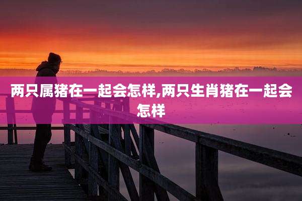 两只属猪在一起会怎样,两只生肖猪在一起会怎样