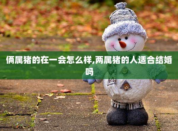 俩属猪的在一会怎么样,两属猪的人适合结婚吗