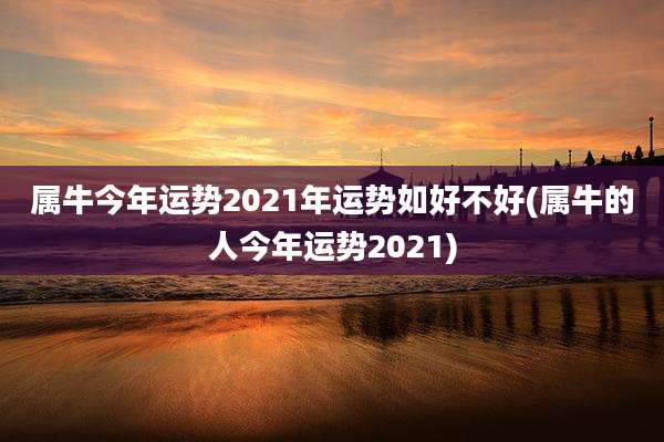属牛今年运势2021年运势如好不好(属牛的人今年运势2021)