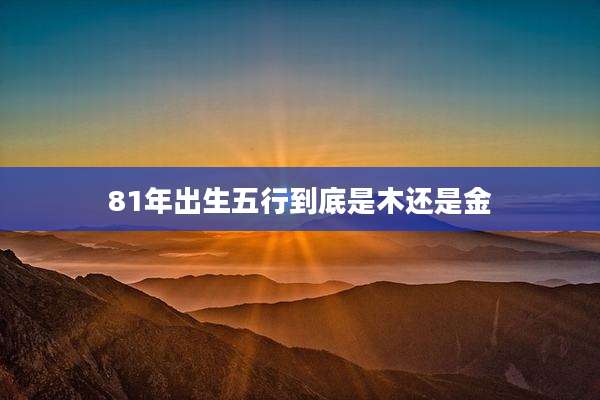 81年出生五行到底是木还是金