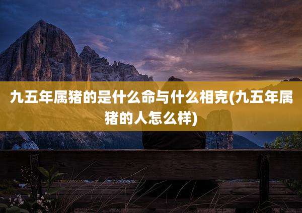 九五年属猪的是什么命与什么相克(九五年属猪的人怎么样)