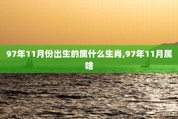97年11月份出生的属什么生肖,97年11月属啥