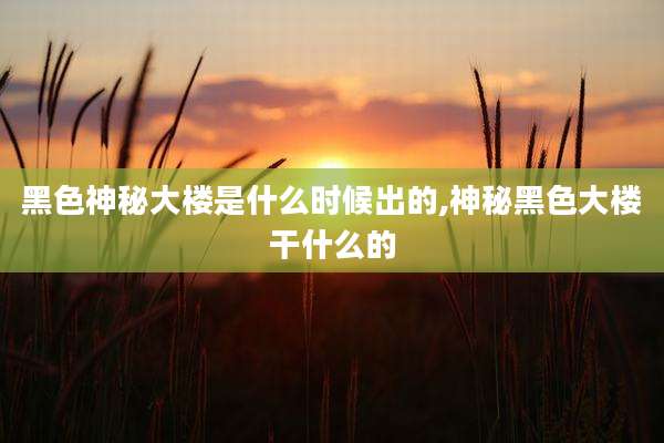 黑色神秘大楼是什么时候出的,神秘黑色大楼干什么的
