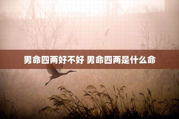 男命四两好不好 男命四两是什么命