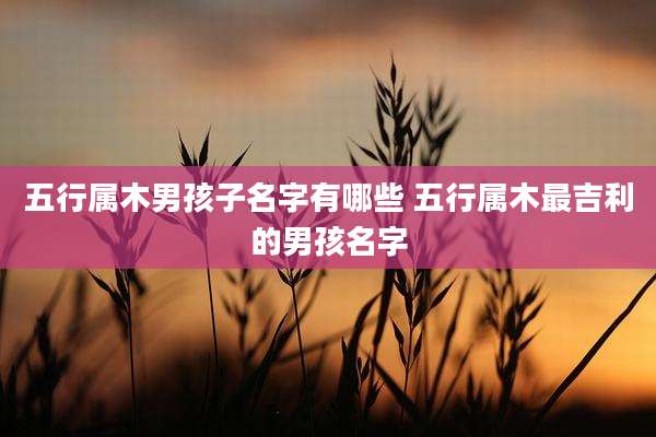 五行属木男孩子名字有哪些 五行属木最吉利的男孩名字