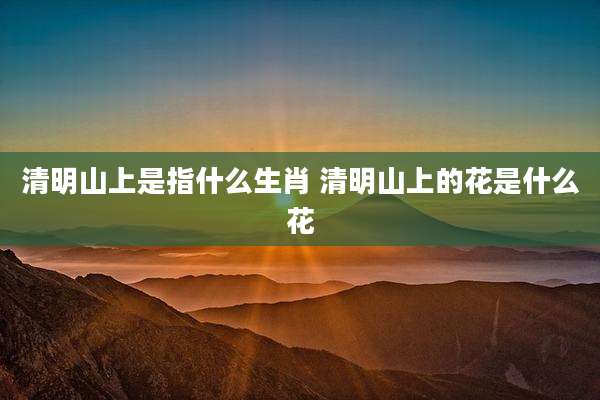 清明山上是指什么生肖 清明山上的花是什么花