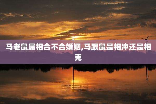 马老鼠属相合不合婚姻,马跟鼠是相冲还是相克