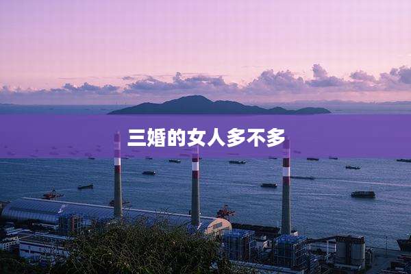 三婚的女人多不多