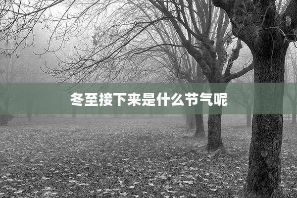 冬至接下来是什么节气呢