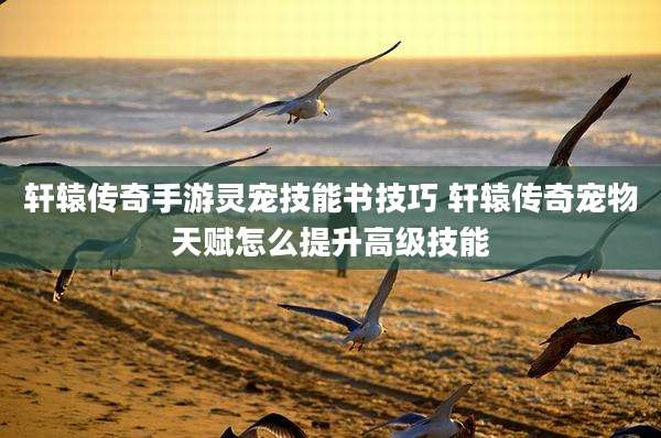 轩辕传奇手游灵宠技能书技巧 轩辕传奇宠物天赋怎么提升高级技能
