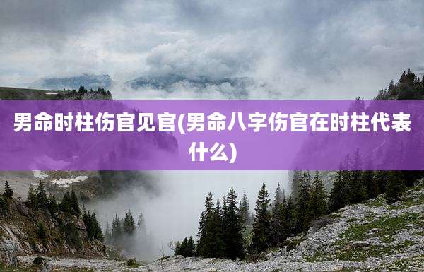 男命时柱伤官见官(男命八字伤官在时柱代表什么)