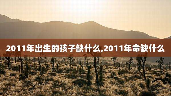 2011年出生的孩子缺什么,2011年命缺什么