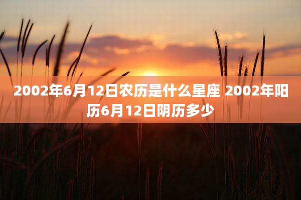 2002年6月12日农历是什么星座 2002年阳历6月12日阴历多少