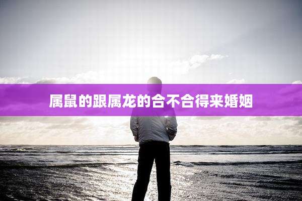 属鼠的跟属龙的合不合得来婚姻