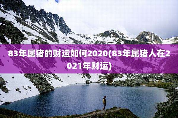 83年属猪的财运如何2020(83年属猪人在2021年财运)
