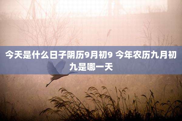 今天是什么日子阴历9月初9 今年农历九月初九是哪一天