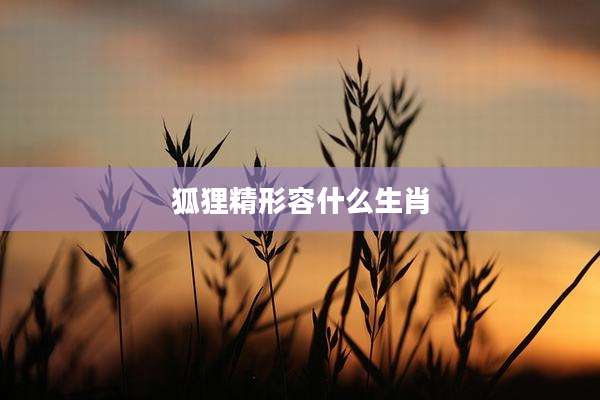 狐狸精形容什么生肖