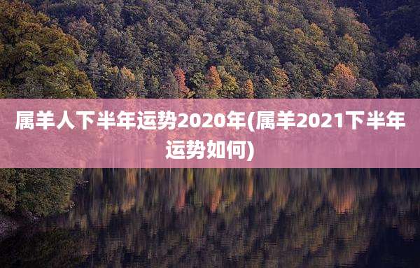 属羊人下半年运势2020年(属羊2021下半年运势如何)