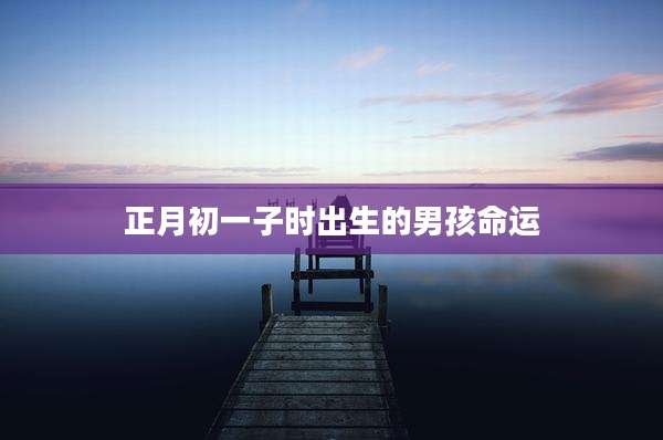 正月初一子时出生的男孩命运