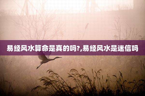 易经风水算命是真的吗?,易经风水是迷信吗