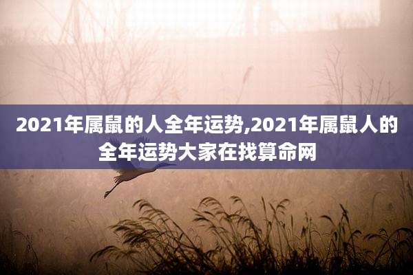 2021年属鼠的人全年运势,2021年属鼠人的全年运势大家在找算命网