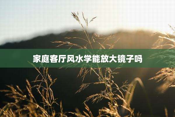 家庭客厅风水学能放大镜子吗
