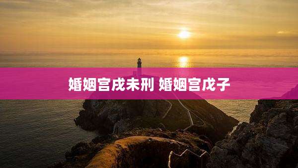 婚姻宫戌未刑 婚姻宫戊子