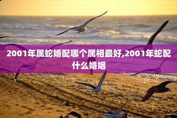 2001年属蛇婚配哪个属相最好,2001年蛇配什么婚姻