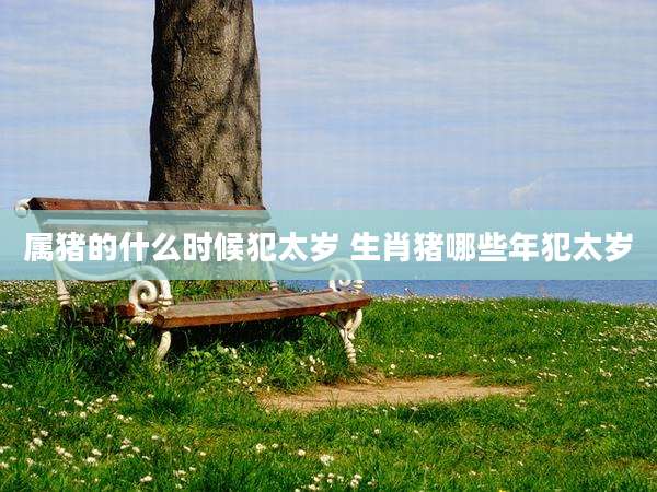 属猪的什么时候犯太岁 生肖猪哪些年犯太岁
