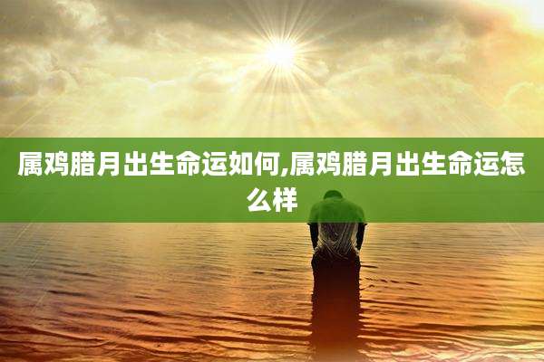 属鸡腊月出生命运如何,属鸡腊月出生命运怎么样