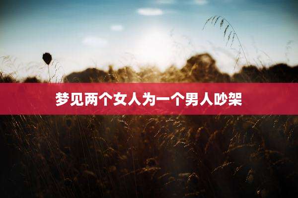 梦见两个女人为一个男人吵架
