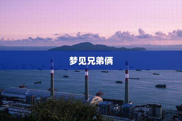 梦见兄弟俩