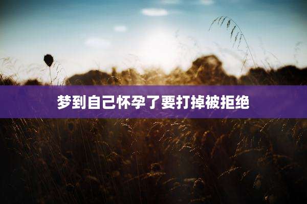 梦到自己怀孕了要打掉被拒绝