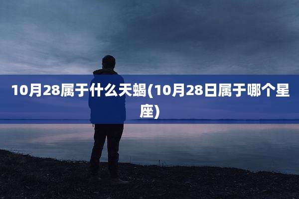 10月28属于什么天蝎(10月28日属于哪个星座)