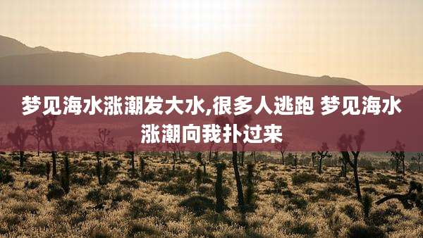 梦见海水涨潮发大水,很多人逃跑 梦见海水涨潮向我扑过来
