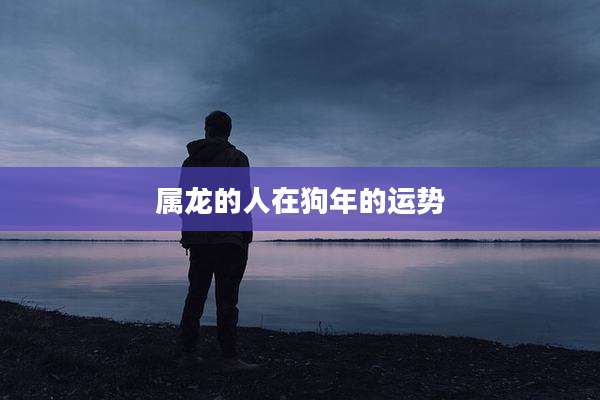 属龙的人在狗年的运势