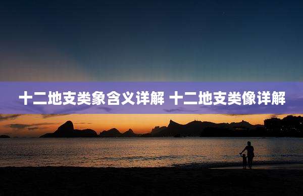 十二地支类象含义详解 十二地支类像详解