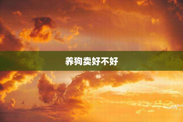 养狗卖好不好