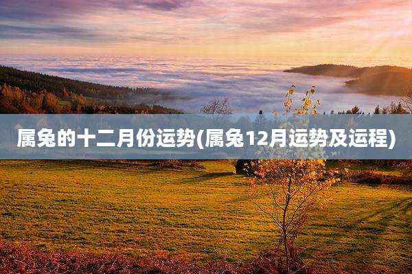属兔的十二月份运势(属兔12月运势及运程)