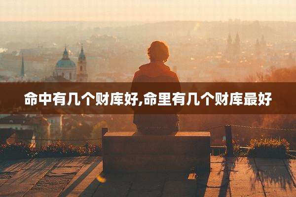 命中有几个财库好,命里有几个财库最好