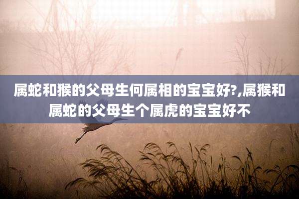 属蛇和猴的父母生何属相的宝宝好?,属猴和属蛇的父母生个属虎的宝宝好不