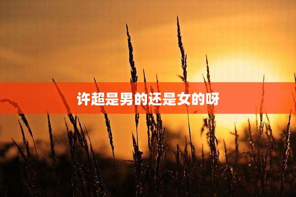 许超是男的还是女的呀