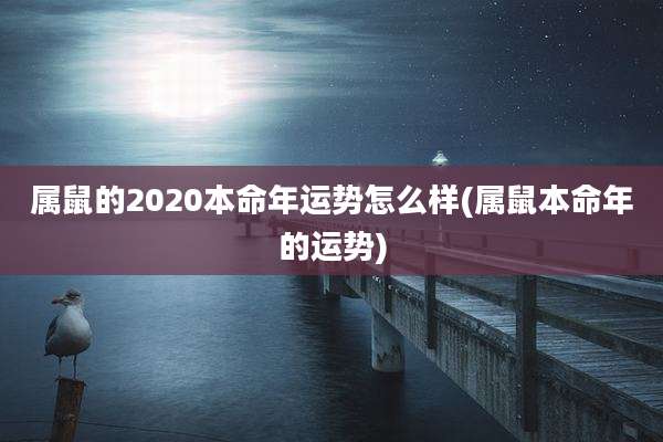属鼠的2020本命年运势怎么样(属鼠本命年的运势)
